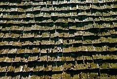 shingle roof tiles